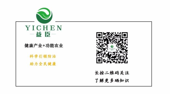 恩施富硒茶营养特点（恩施富硒茶文化的内涵有）-硒宝网