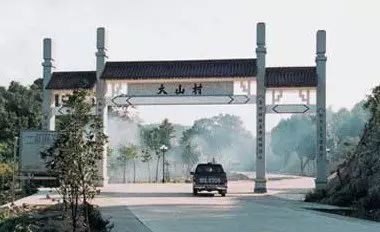 恩施富硒茶营养特点（恩施富硒茶文化的内涵有）-硒宝网