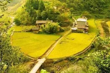 恩施富硒茶营养特点（恩施富硒茶文化的内涵有）-硒宝网