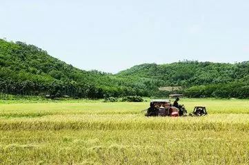 恩施富硒茶营养特点（恩施富硒茶文化的内涵有）-硒宝网