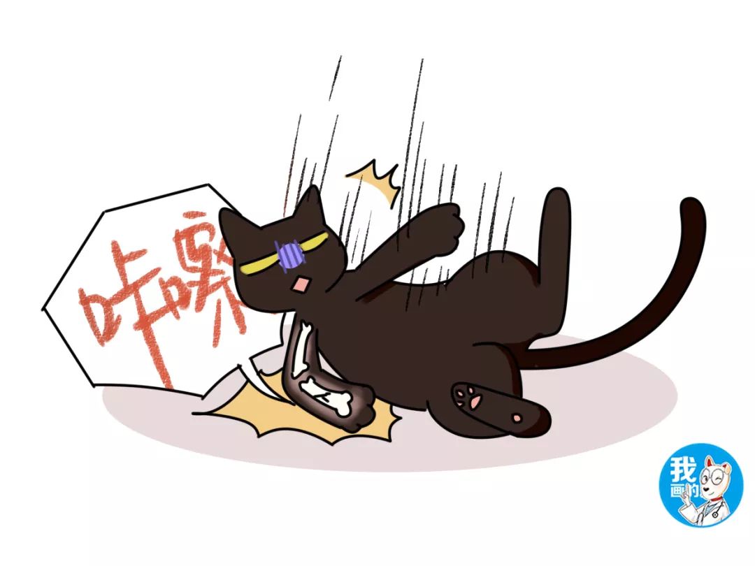 猫怎么补钙(猫补钙剂量)-硒宝网