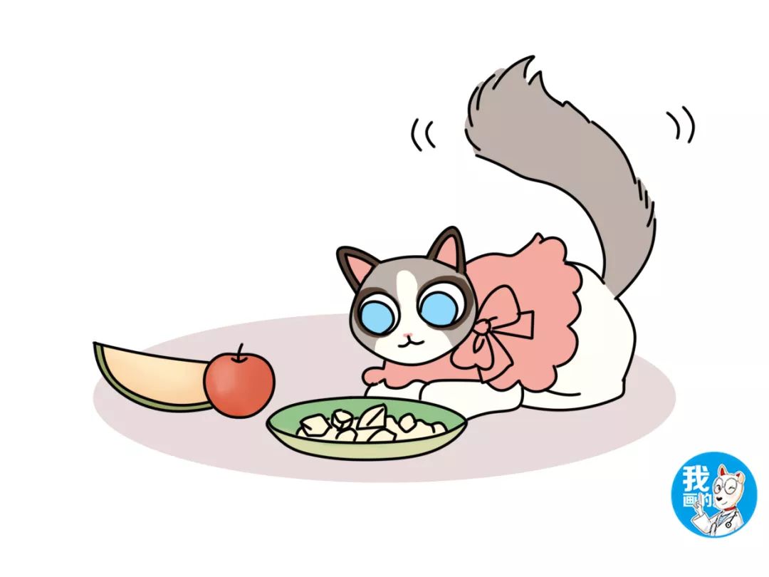 猫怎么补钙(猫补钙剂量)-硒宝网