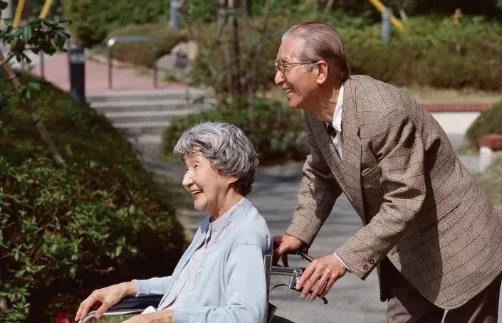 补铁是补什么(补铁是干嘛)-硒宝网