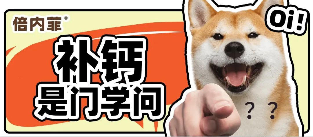 猫怎么补钙(怎么给猫补钙)-硒宝网