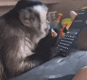 猫怎么补钙(怎么给猫补钙)-硒宝网