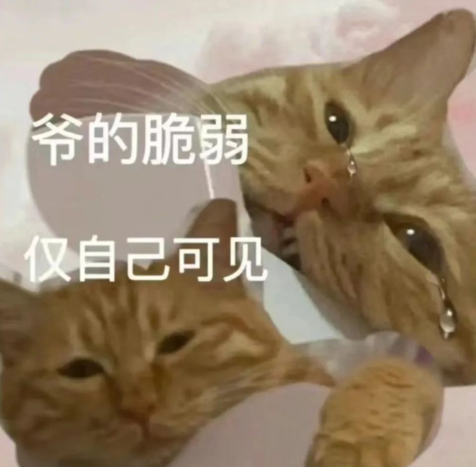 猫怎么补钙(怎么给猫补钙)-硒宝网