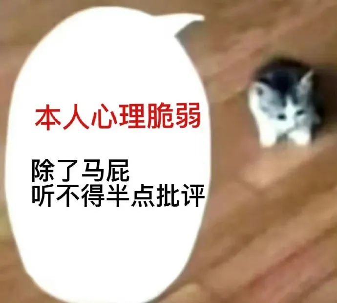 猫怎么补钙(怎么给猫补钙)-硒宝网