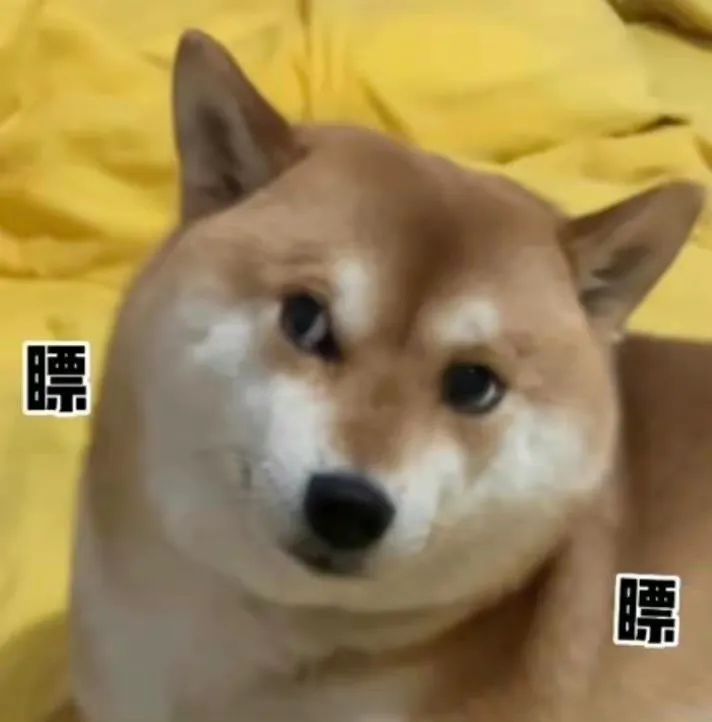 猫怎么补钙(怎么给猫补钙)-硒宝网