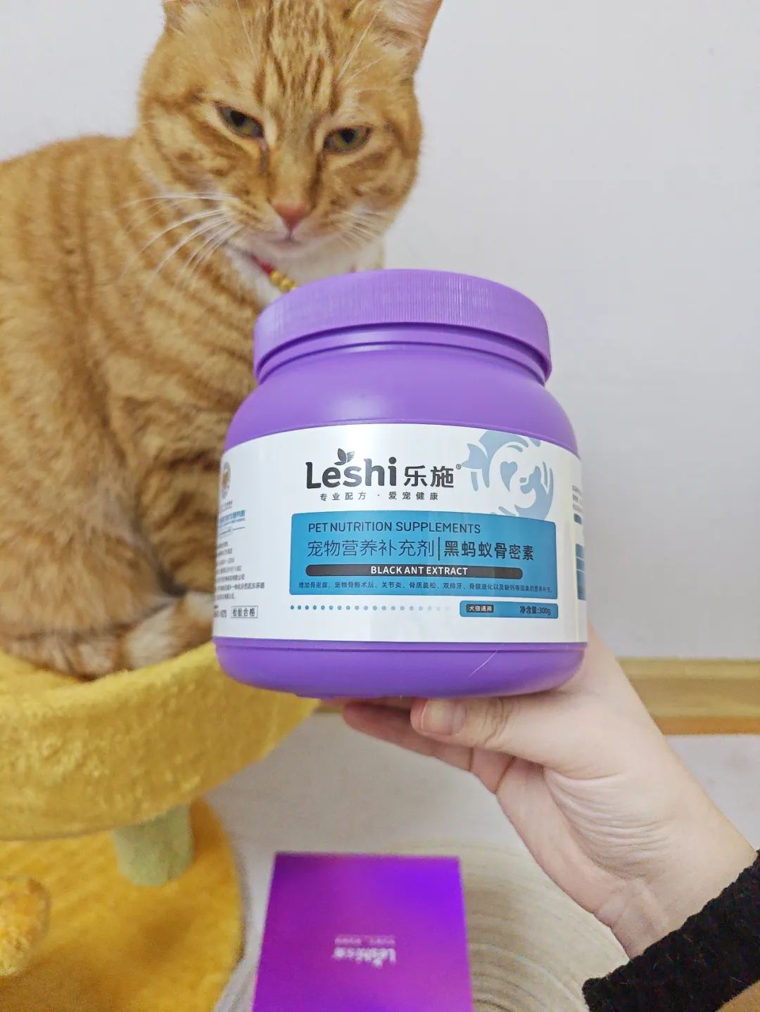 猫怎么补钙(猫补钙的食物有哪些)-硒宝网