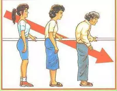 肾结石怎么补钙（肾结石补钙最好的方法）-硒宝网