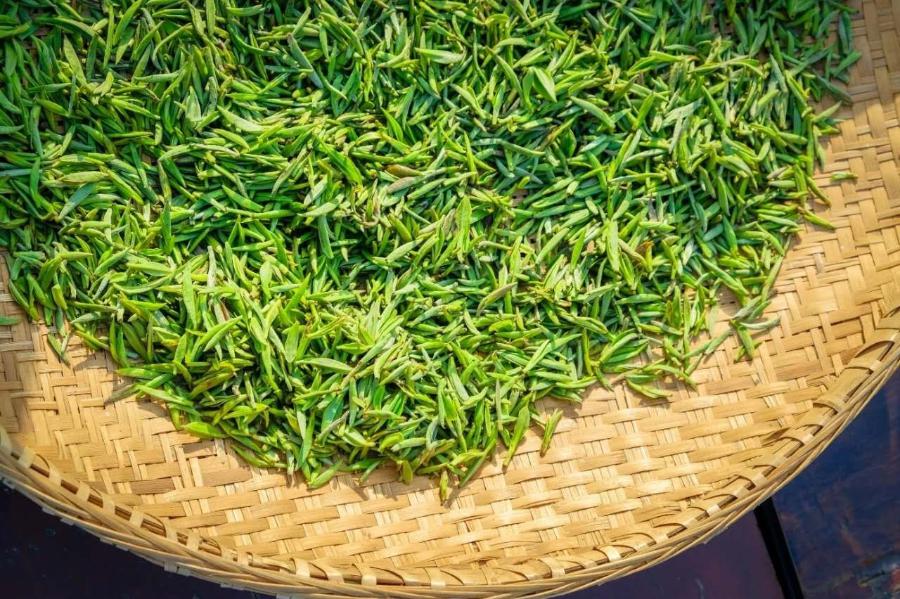 紫阳富硒茶私人订制（紫阳富硒茶制作工艺）-硒宝网