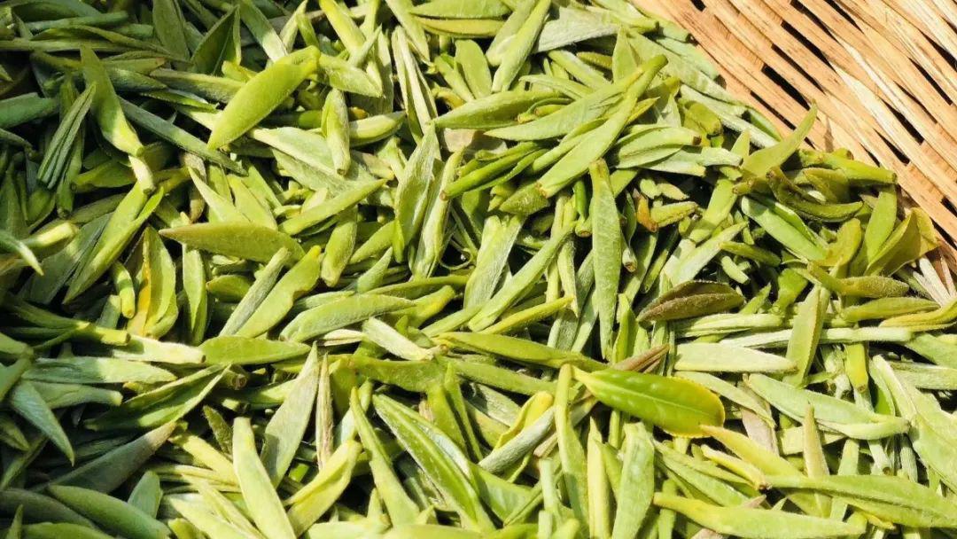 紫阳富硒茶私人订制（紫阳富硒茶制作工艺）-硒宝网