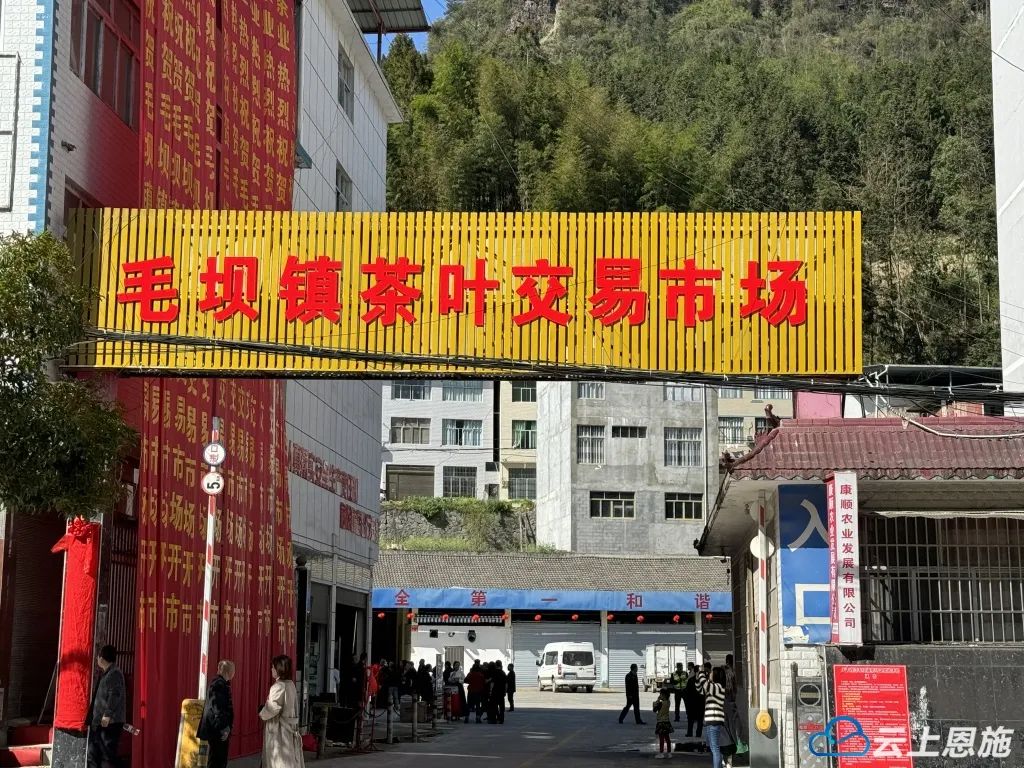 武汉富硒茶玉露费用（恩施富硒茶玉露）-硒宝网