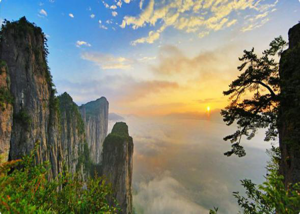 恩施富硒茶采摘时间(恩施富硒茶市场定位分析)-硒宝网