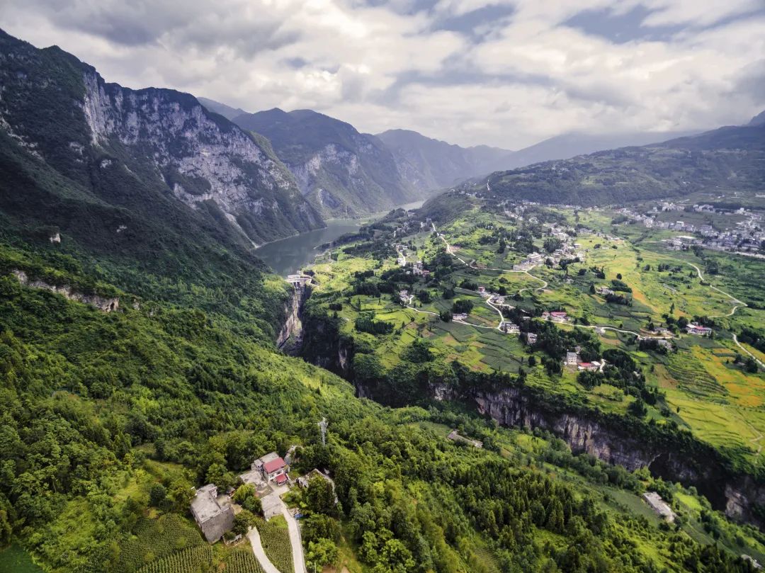 恩施富硒茶采摘时间(恩施富硒茶市场定位分析)-硒宝网