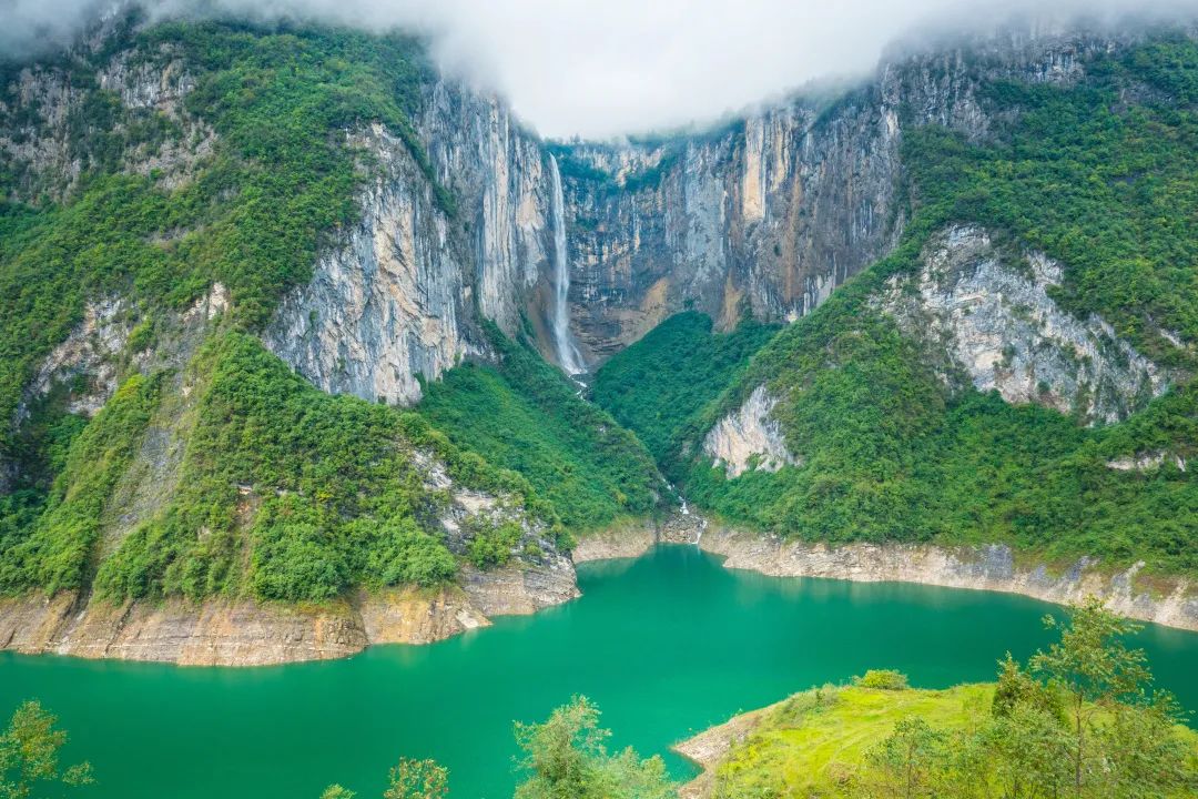 恩施富硒茶采摘时间(恩施富硒茶市场定位分析)-硒宝网