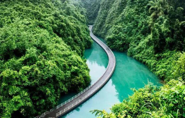 恩施富硒茶采摘时间(恩施富硒茶市场定位分析)-硒宝网