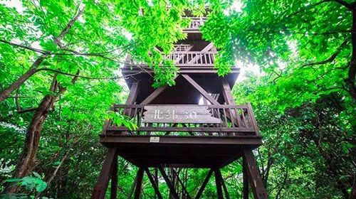 恩施富硒茶采摘时间(恩施富硒茶市场定位分析)-硒宝网