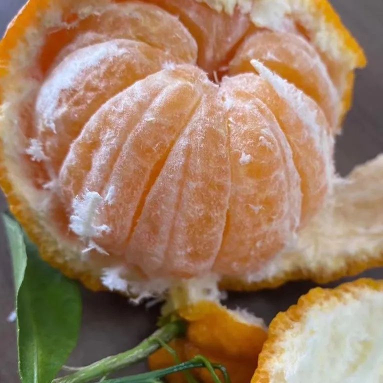 紫阳富硒茶私人订制(紫阳富硒茶多少钱)-硒宝网