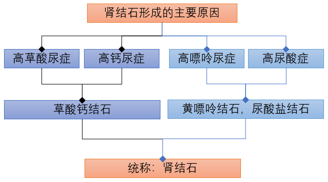 肾结石怎么补钙(肾结石补钙用哪种钙片)-硒宝网