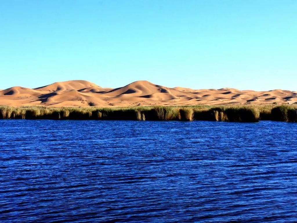 微量元素锶（微量元素锶对人体的作用）-硒宝网