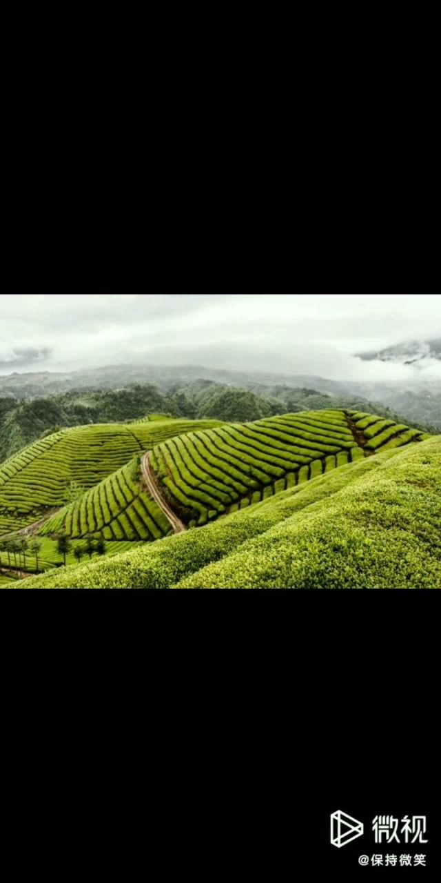 恩施富硒茶地域特点(恩施富硒茶文化的内涵有)-硒宝网