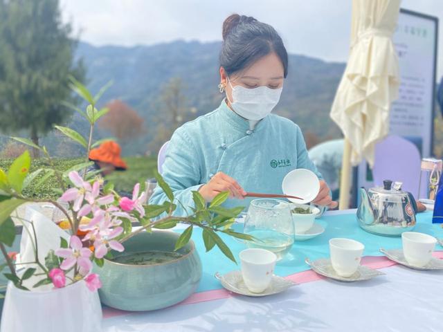 陕西紫阳富硒茶风景(陕西省紫阳富硒茶)-硒宝网