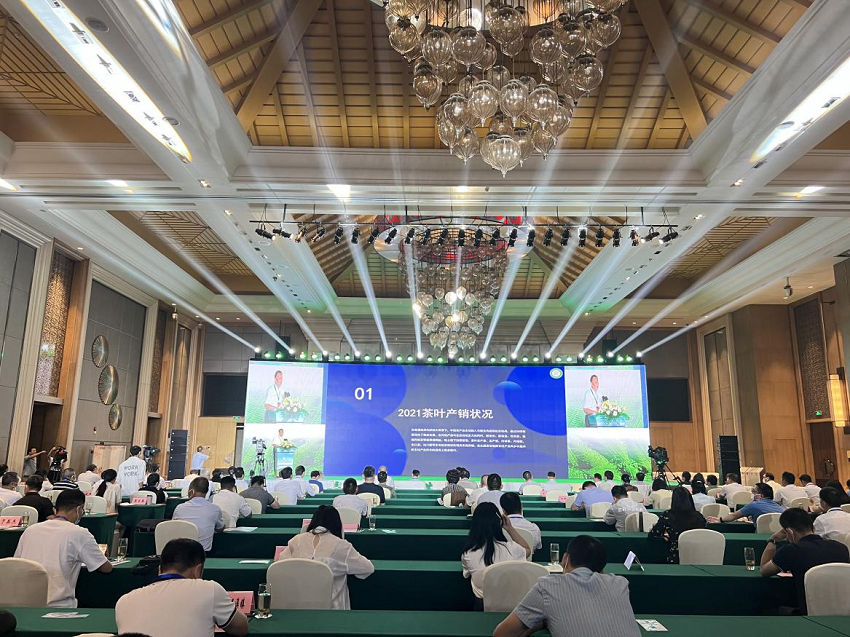 怎样购买恩施富硒茶（恩施富硒茶市场定位分析）-硒宝网