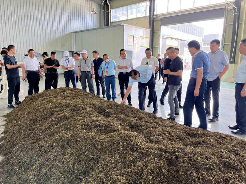 怎样购买恩施富硒茶（恩施富硒茶市场定位分析）-硒宝网