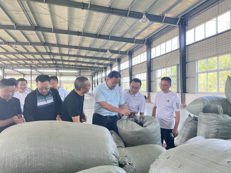 怎样购买恩施富硒茶（恩施富硒茶市场定位分析）-硒宝网