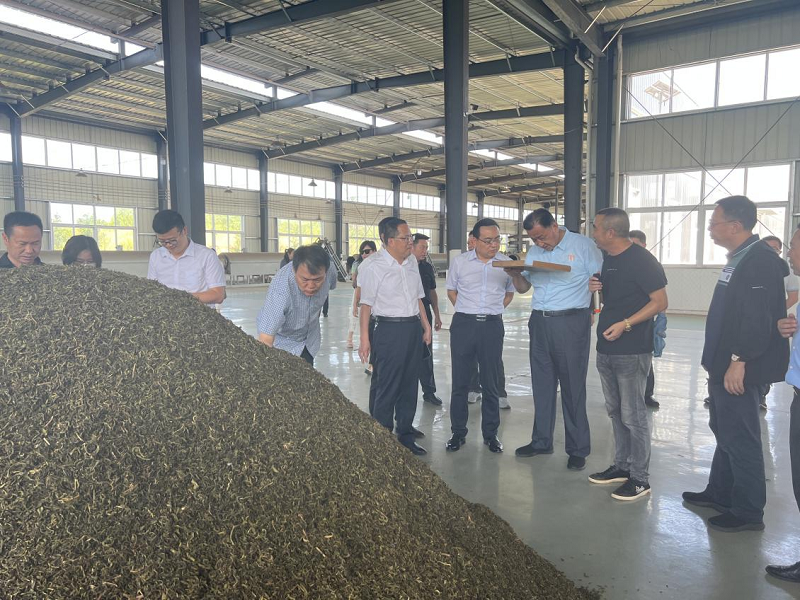 怎样购买恩施富硒茶（恩施富硒茶市场定位分析）-硒宝网