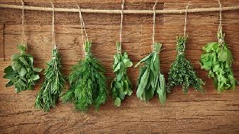 吃什么东西可以补铁(东西吃补铁可以喝牛奶吗)-硒宝网