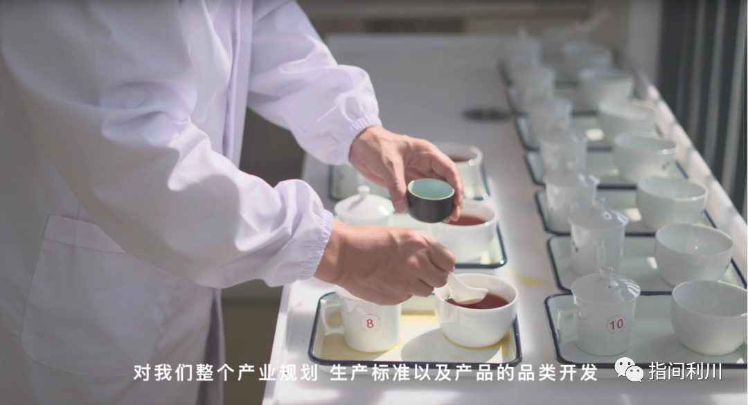 利川富硒茶绿茶价格(湖北富硒绿茶)-硒宝网