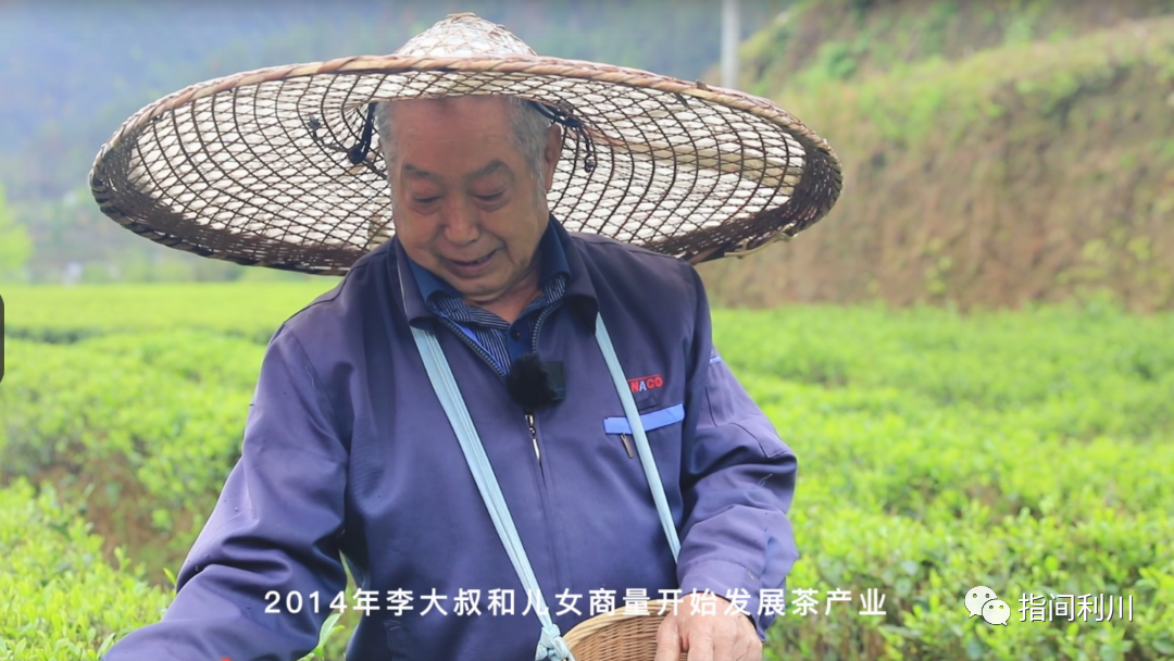 利川富硒茶绿茶价格(湖北富硒绿茶)-硒宝网