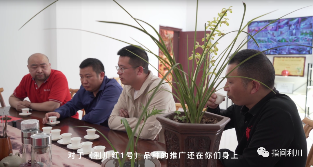 利川富硒茶绿茶价格(湖北富硒绿茶)-硒宝网