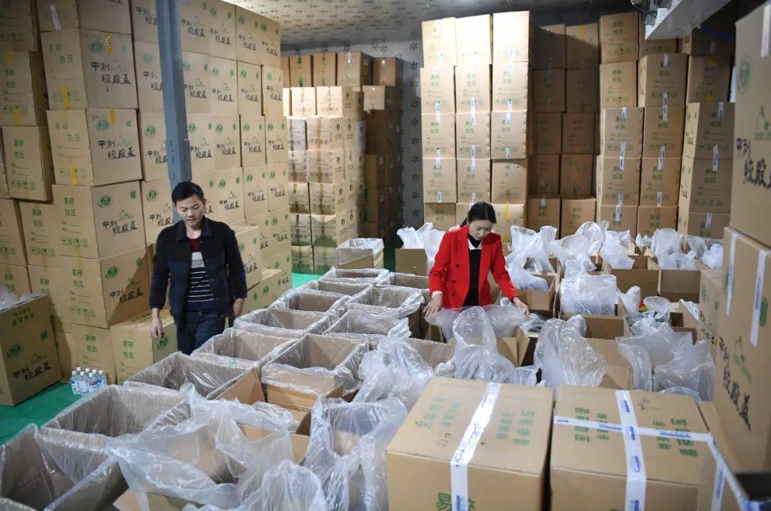 绞股蓝富硒茶的功效（富硒绞股蓝龙须茶价格）-硒宝网