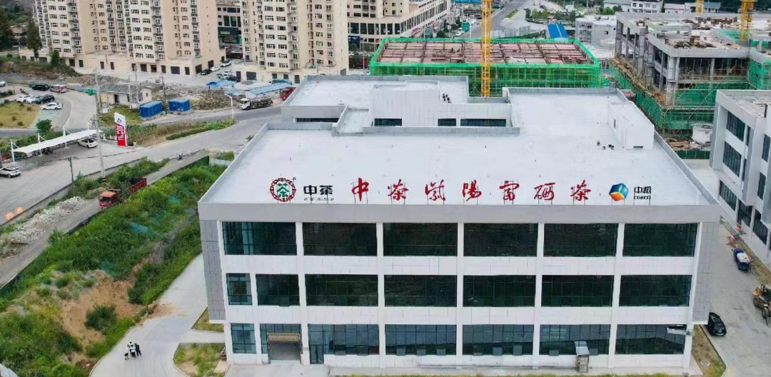 紫阳富硒茶 福禧园(紫阳富硒茶场观光园)-硒宝网