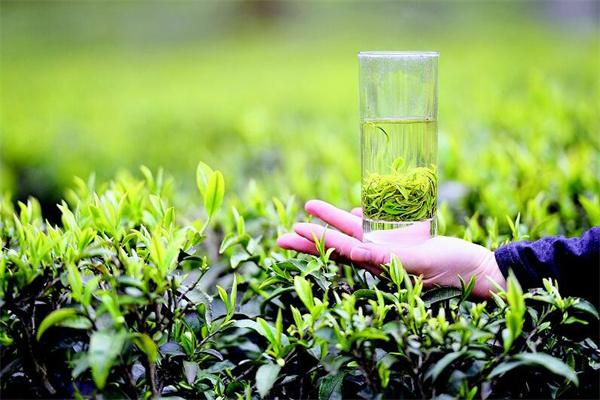 恩施富硒茶奶茶加盟（恩施奶茶原料批发市?。?硒宝网