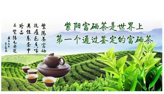 关于紫阳富硒茶介绍（紫阳茶富硒饮品价格）-硒宝网
