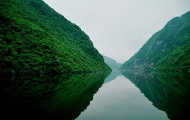 关于紫阳富硒茶介绍（紫阳茶富硒饮品价格）-硒宝网