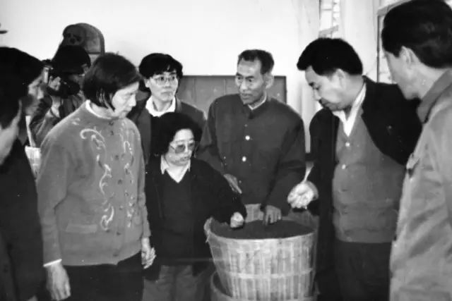 关于紫阳富硒茶介绍（紫阳茶富硒饮品价格）-硒宝网