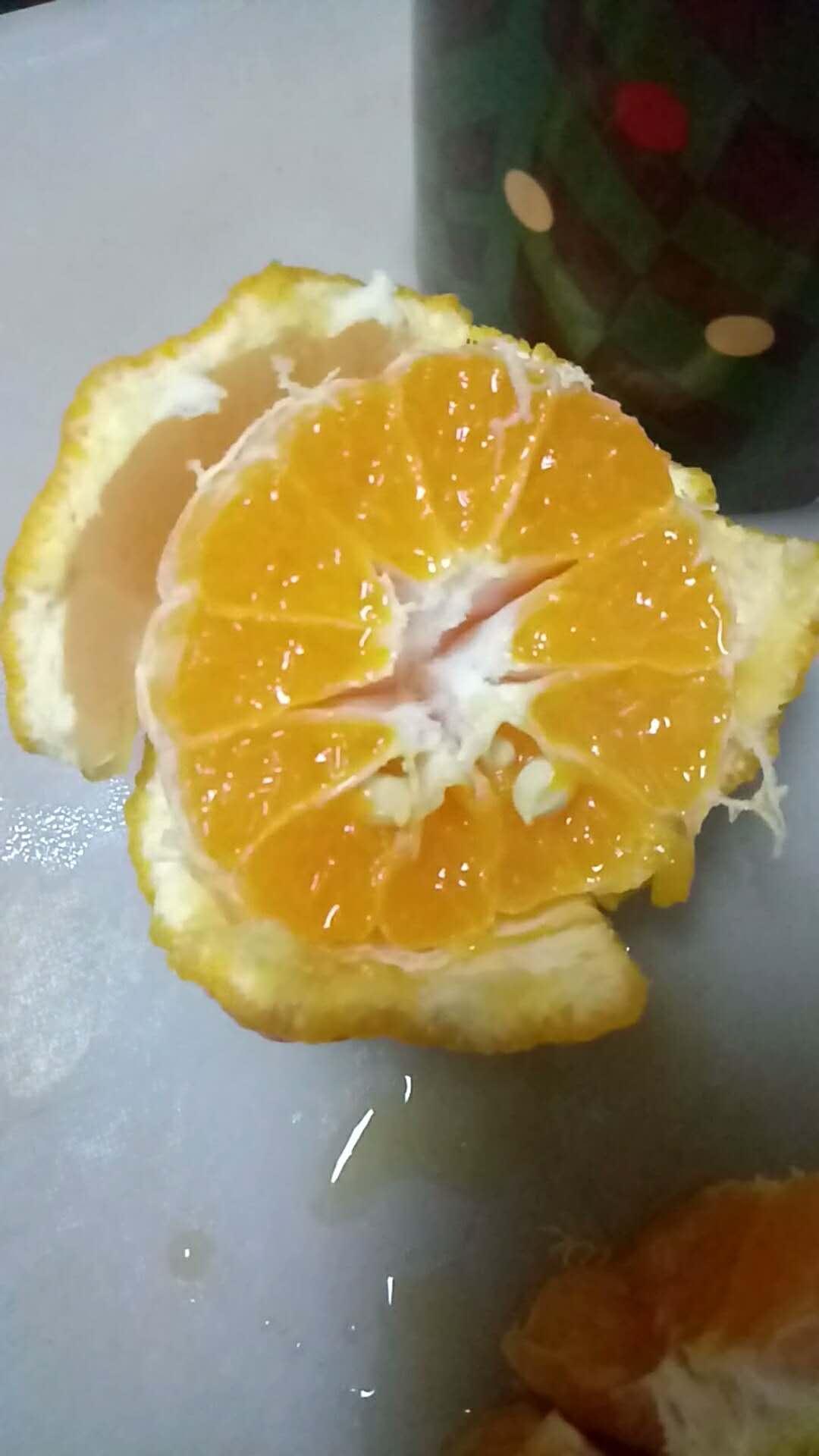 安康富硒茶产业投入(安康茶产业发展现状及特征)-硒宝网