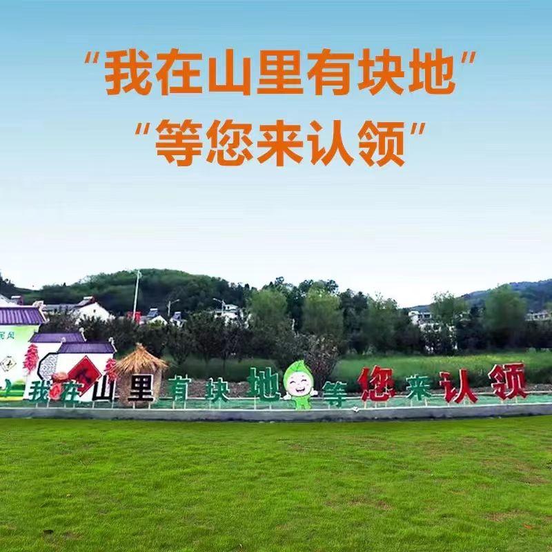 安康富硒茶产业问题（安康富硒茶发展情况）-硒宝网