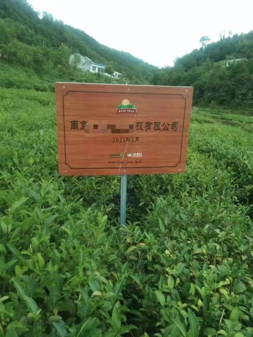 安康富硒茶产业问题（安康富硒茶发展情况）-硒宝网