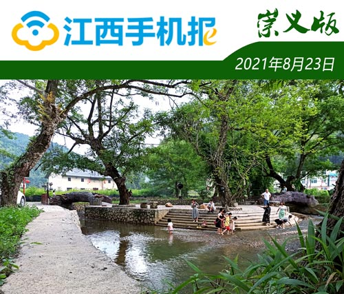 南昌富硒茶怎么收费(江西南昌茶叶)-硒宝网