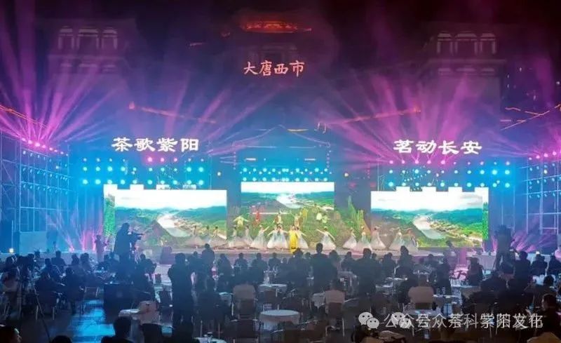 紫阳富硒茶旅游攻略(紫阳富硒茶宣传片)-硒宝网