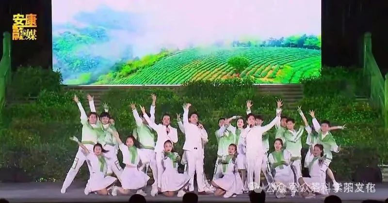 紫阳富硒茶旅游攻略(紫阳富硒茶宣传片)-硒宝网