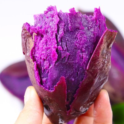 板栗补铁吗(板栗补血么)-硒宝网