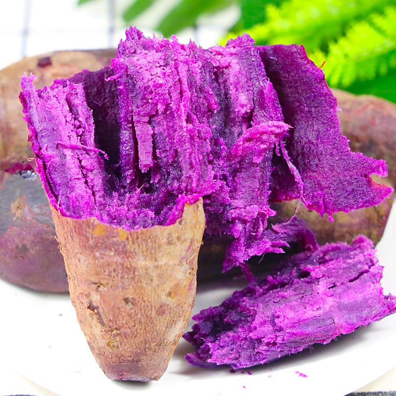 板栗补铁吗(板栗补血么)-硒宝网