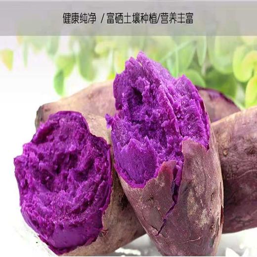 板栗补铁吗(板栗补血么)-硒宝网